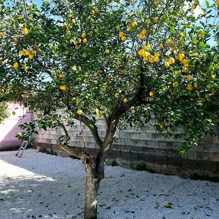 Alojamento de Acomodação e Pequeno-almoço Sa Pramma Baratili San Pietro