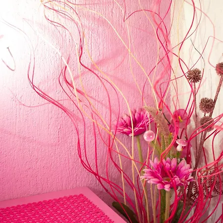 Alojamento de Acomodação e Pequeno-almoço Sa Pramma