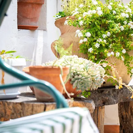 Bed and Breakfast Sa Pramma